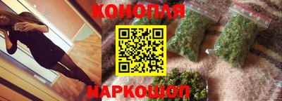 ешки Гай